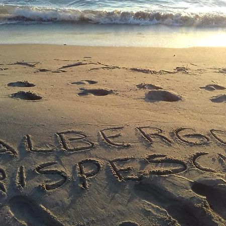 Hotel B&B Rispescia Grosseto מראה חיצוני תמונה