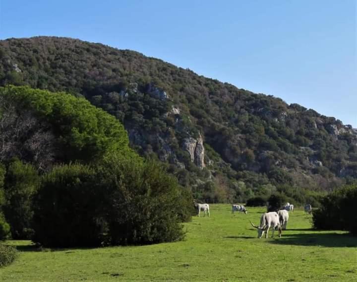 Hotel B&B Rispescia Grosseto מראה חיצוני תמונה
