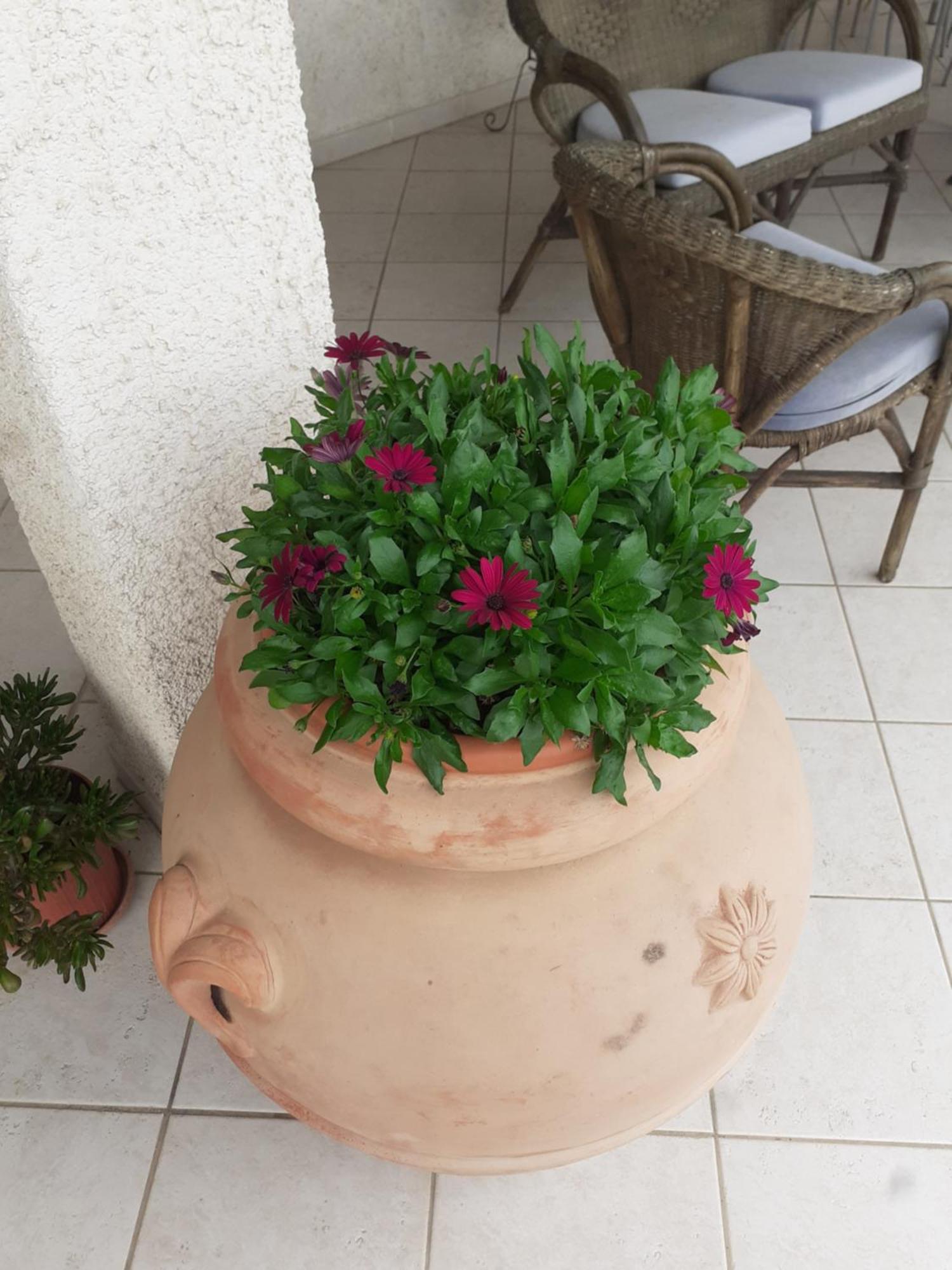 Hotel B&B Rispescia Grosseto מראה חיצוני תמונה