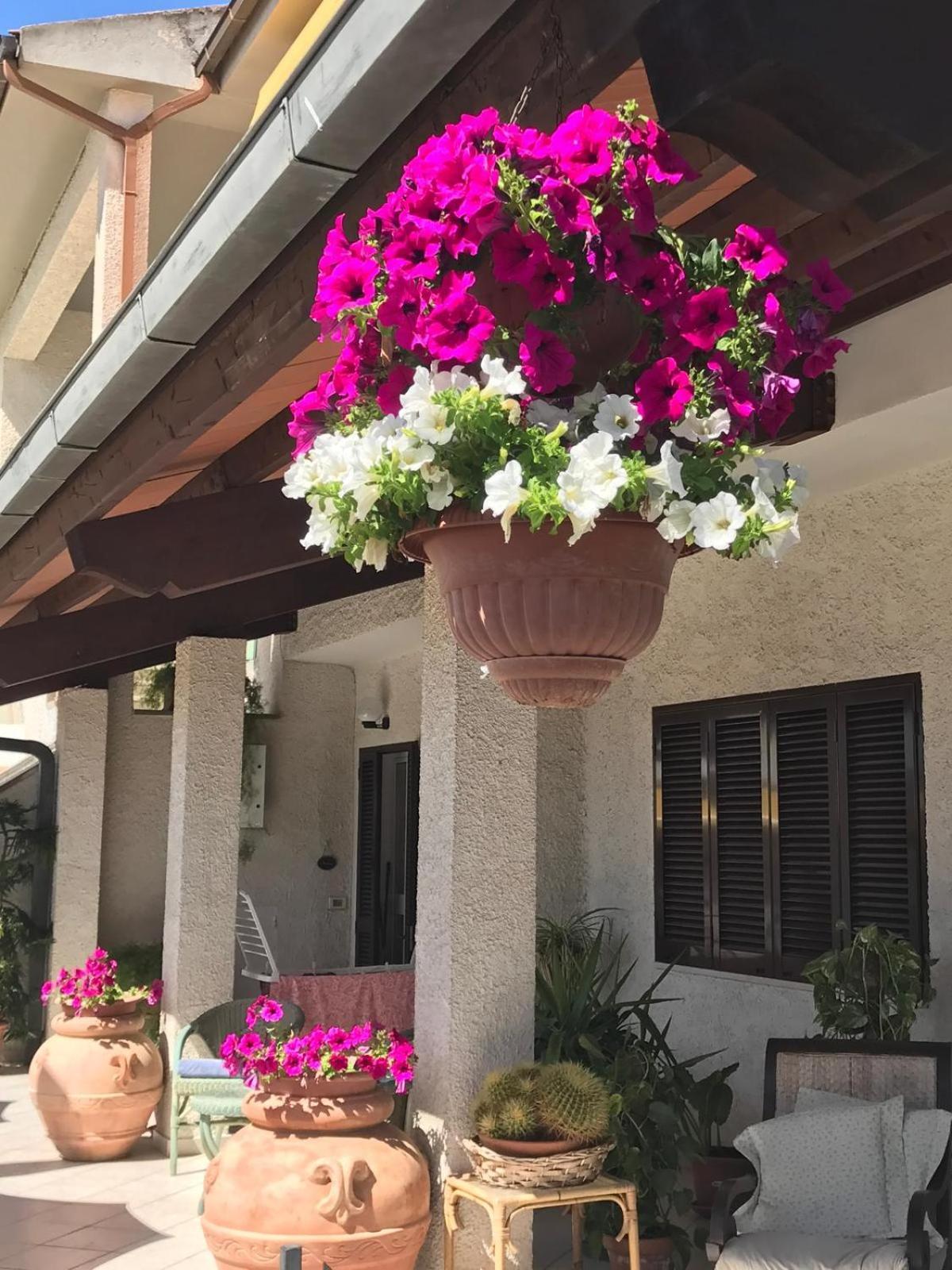 Hotel B&B Rispescia Grosseto מראה חיצוני תמונה