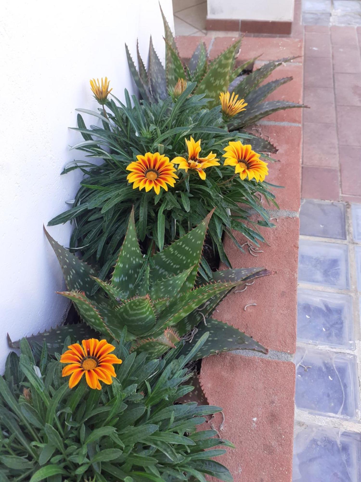 Hotel B&B Rispescia Grosseto מראה חיצוני תמונה