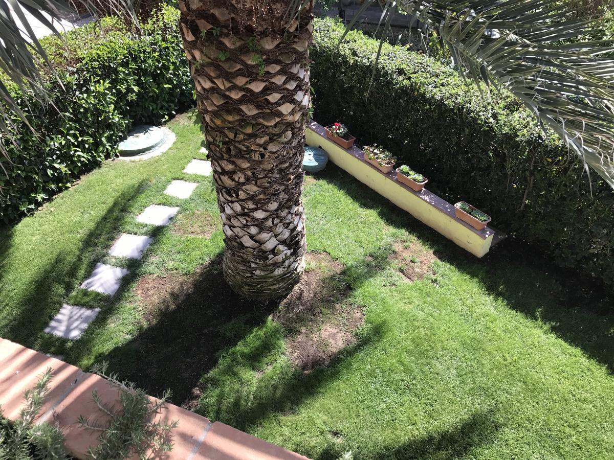 Hotel B&B Rispescia Grosseto מראה חיצוני תמונה