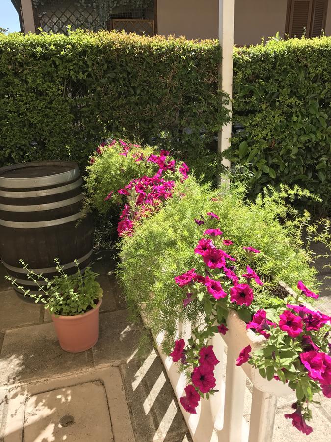 Hotel B&B Rispescia Grosseto מראה חיצוני תמונה