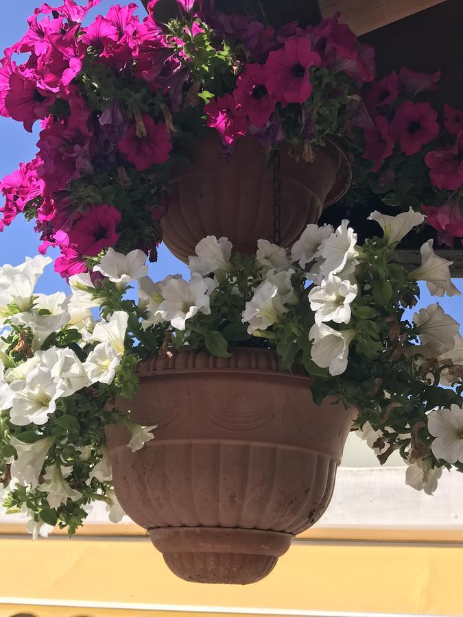 Hotel B&B Rispescia Grosseto מראה חיצוני תמונה